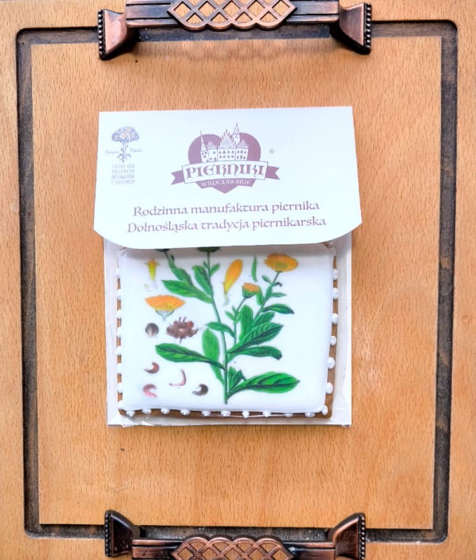 Nagietek lekarski na pierniku 