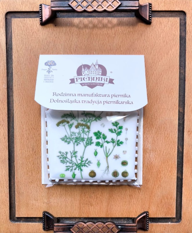 Kolendra na pierniku  